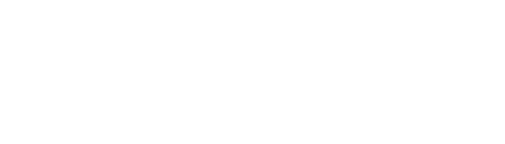 VOIDEX